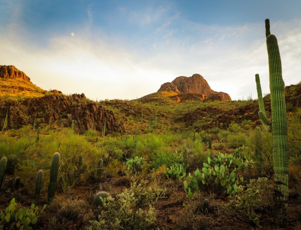 Tucson, Arizona Background